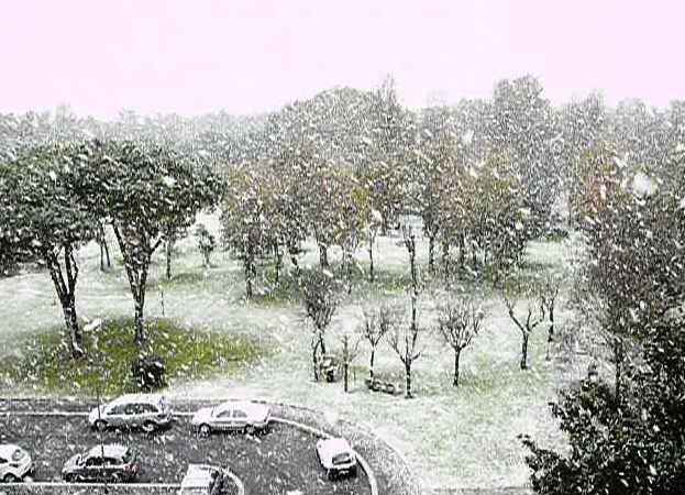 Neve, chiuse scuole e uffici pubblici