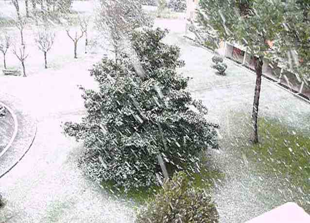 Neve, chiuse scuole e uffici pubblici