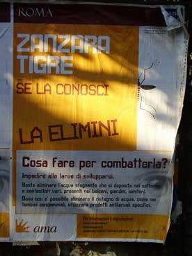 Zanzara tigre, An: “il Comune contribuisce allo sviluppo delle larve”