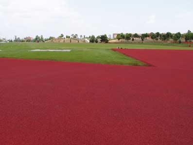 Impianto Roma Est di Atletica e Rugby: la consegna slitta a marzo 2006