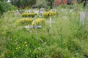 Cimiteri: Verano e Prima Porta nell’incuria