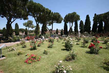 Da tutto il mondo le rose dello storico giardino sull’Aventino