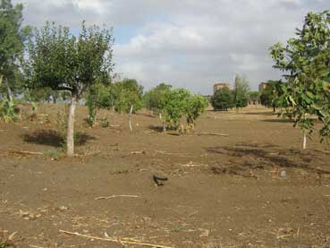 Il Parco degli Acquedotti dopo la bonifica