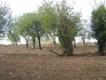 Il Parco degli Acquedotti dopo la bonifica