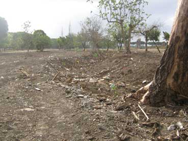 Il Parco degli Acquedotti dopo la bonifica