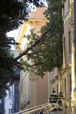 Albero cade su un palazzo a San Lorenzo