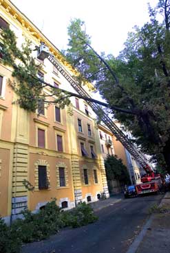 Albero cade su un palazzo a San Lorenzo