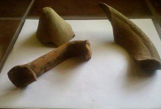 Ritrovamenti archeologici presso il casale “il Porro”