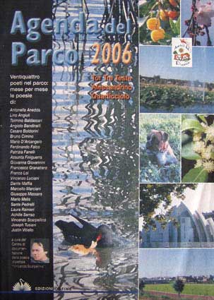 La XVI Corri per il Parco