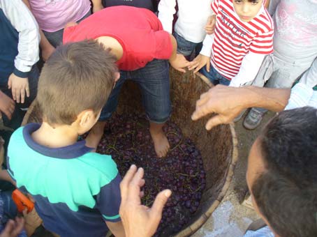 Prato Fiorito, un’affollata Festa del vino di Roma