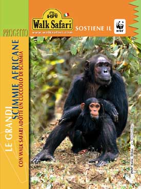 Walk Safari inaugura quattro nuovi punti vendita, da Fiumicino a Messina