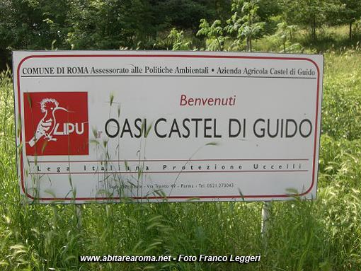 ‘Il regno della notte’ è a Castel di Guido