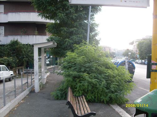 Il degrado e l’abbandono percorrono via Portuense nel Municipio XV