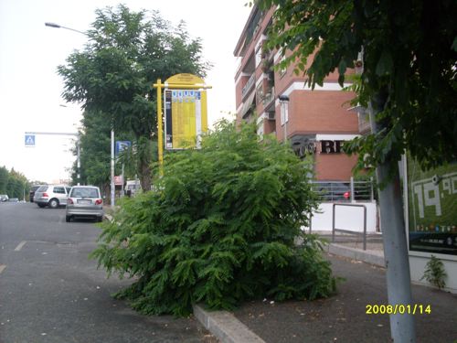 Il degrado e l’abbandono percorrono via Portuense nel Municipio XV