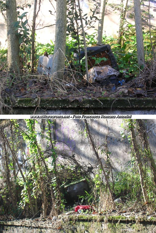 Discarica cittadina a via Vitellia nel cuore di Monteverde