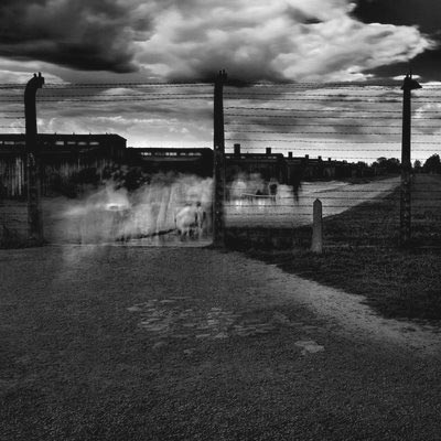 Mostra per il 65° della chiusura del campo di Auschwitz-Birkenau