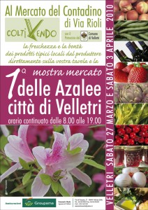 A Velletri sabato 27 marzo apre la prima Mostra Mercato delle Azalee