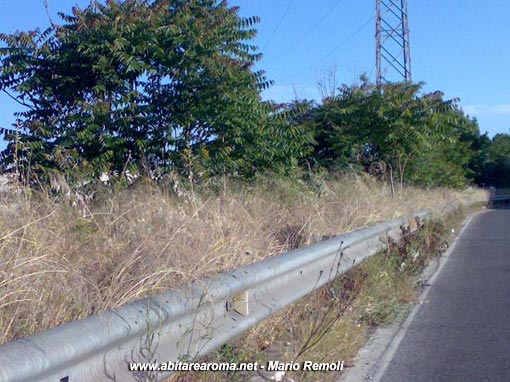 Viale Palmiro Togliatti e via Tiburtina, lo svincolo del degrado