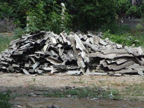 Parco Sangalli, il presidente Palmieri si muove, ma l’erba si secca