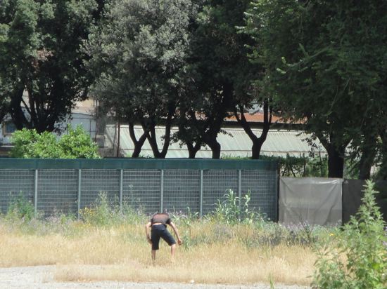 Parco Sangalli, il presidente Palmieri si muove, ma l’erba si secca