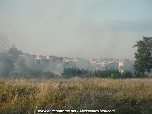 Il caldo è arrivato e gli incendi pure