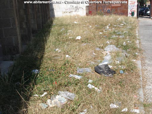 Pulizie straordinarie nel parco di via Sisenna