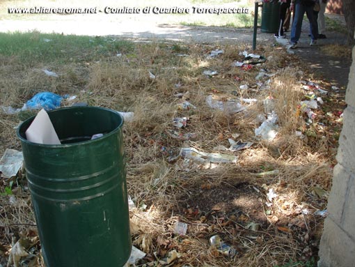 Pulizie straordinarie nel parco di via Sisenna
