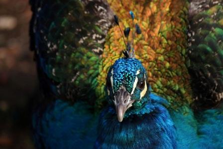 Rome Camera Club, mostra fotografica all’Istituto Quasar