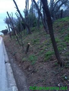 cunetta3