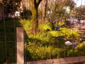 giardino pinturiccchio