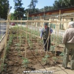 Educazione Ambientale VII