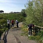 pista ciclabile torraccia