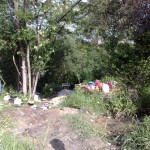 Bonifica parco Pineta balduina