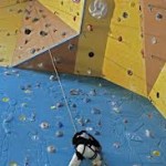 arrampicata