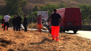 Bonifica rotatorie via Laurentina