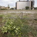 parco garbatella