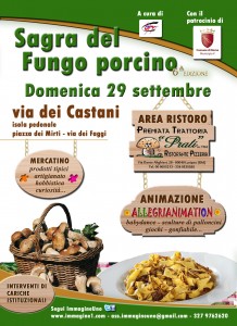 VI_Sagra fungo porcino