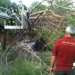 Albero caduto via Siracusa sopra automobile in transito