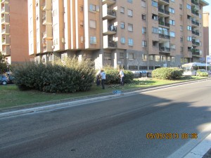 valle aurelia 2