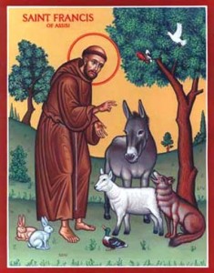 san-francesco