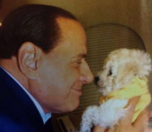 Silvio Berlusconi e il cane Dudù