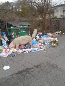 Foto da www.romafaschifo.com