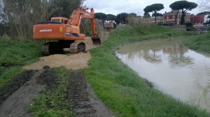argine ostia