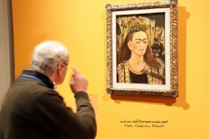 Frida3