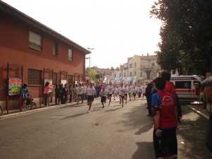 DSC03518 (1)