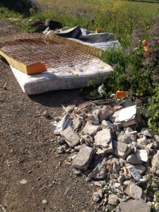 foto 4 (6)