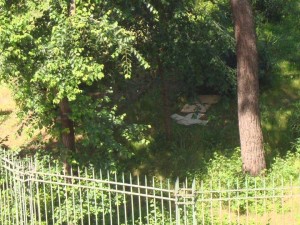 Letto di fortuna piazza gerani Centocelle