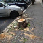Acero tagliato via Cesati