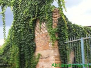 Particolare del muro