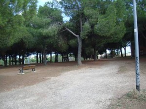 Parco di Tor tre teste lato entrata Palatucci (2)